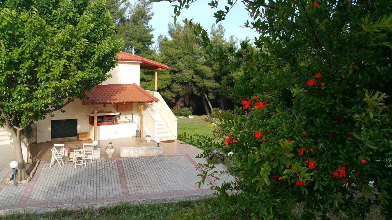 Villa Chris 波塞蒂 外观 照片